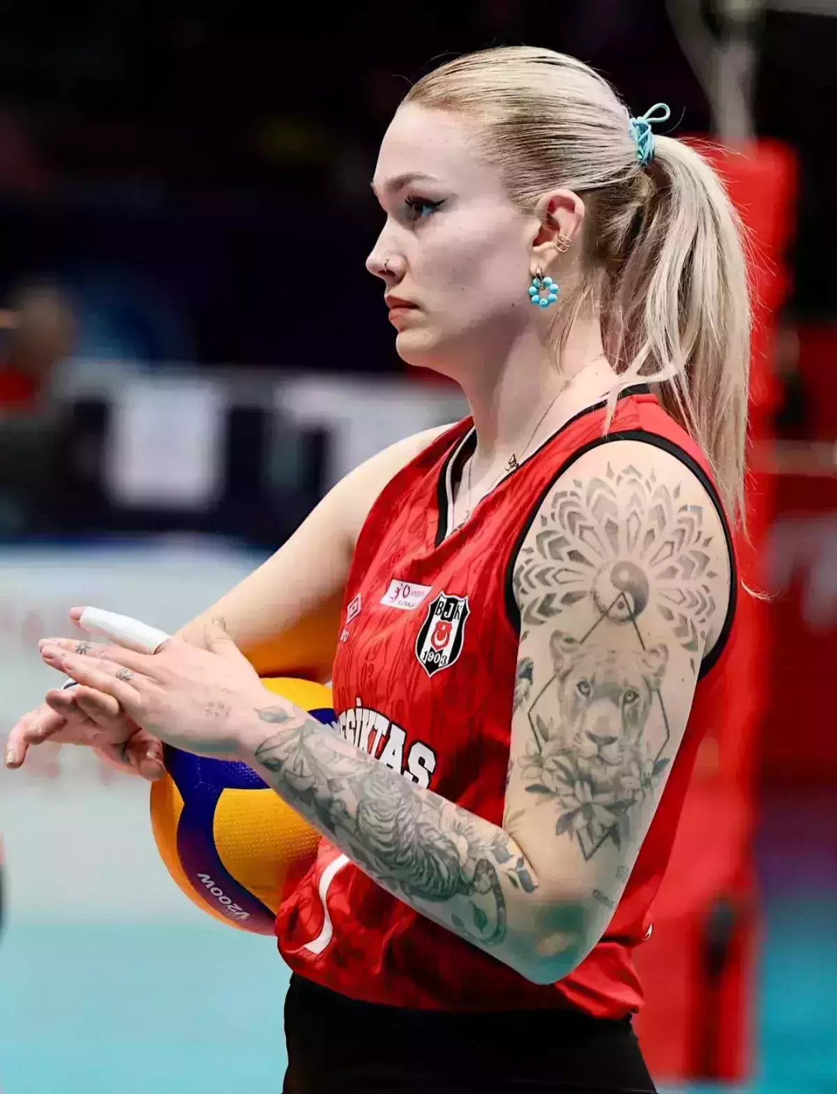 Julia Szczurowska, Kuzeyboru ile anlaşmaya vardı